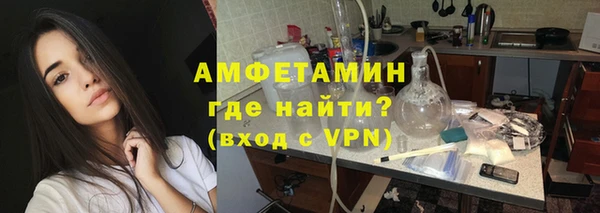 прущие грибы Михайлов