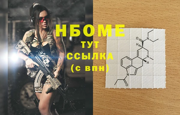 прущие грибы Михайлов