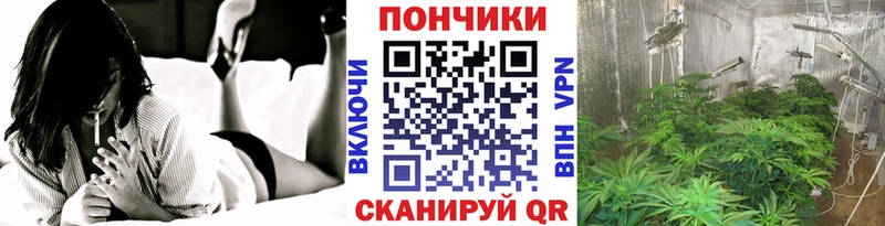Канабис планчик  как найти   Кяхта 
